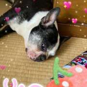 ヒメ日記 2025/08/12 08:06 投稿 あずみ 熟女デリヘル倶楽部