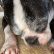 ヒメ日記 2025/09/05 07:12 投稿 あずみ 熟女デリヘル倶楽部