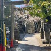 ヒメ日記 2026/03/24 14:47 投稿 あずみ 熟女デリヘル倶楽部