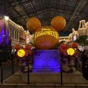 ヒメ日記 2025/10/14 04:46 投稿 ゆの ヒルズスパ　梅田＋