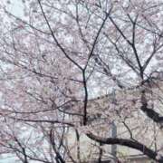 ヒメ日記 2025/03/28 15:00 投稿 マリン【18才！完全素人美少女】 エアポート