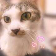 ヒメ日記 2026/01/03 23:34 投稿 マリン【18才！完全素人美少女】 エアポート