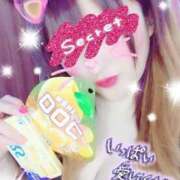 ヒメ日記 2025/12/28 15:05 投稿 ゆうり 千葉北インターちゃんこ