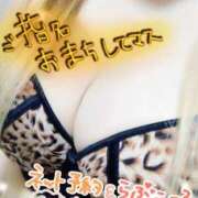 ヒメ日記 2026/01/17 21:14 投稿 ゆうり 千葉北インターちゃんこ