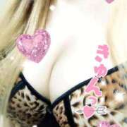 ヒメ日記 2026/01/30 18:04 投稿 ゆうり 千葉北インターちゃんこ