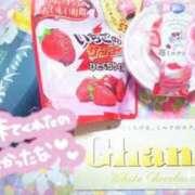 ヒメ日記 2026/03/11 20:18 投稿 ゆうり 千葉北インターちゃんこ