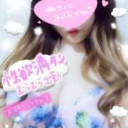 ヒメ日記 2026/03/14 16:38 投稿 ゆうり 千葉北インターちゃんこ