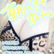 ヒメ日記 2026/04/04 09:52 投稿 ゆうり 千葉北インターちゃんこ