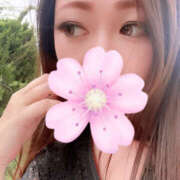 ヒメ日記 2025/04/22 11:00 投稿 エナ 月兎（GET）