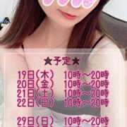 ヒメ日記 2025/06/19 09:01 投稿 しほ スッキリ！！日本橋店