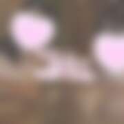 ヒメ日記 2025/09/12 18:39 投稿 花咲～HANASAKI～ BBW 西川口店