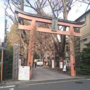 ヒメ日記 2026/01/07 12:58 投稿 しずく 豊満熟女