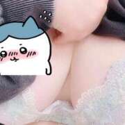 ヒメ日記 2025/04/26 14:07 投稿 しい 丸妻 新横浜店