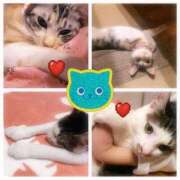 ヒメ日記 2025/06/20 12:18 投稿 しい 丸妻 新横浜店