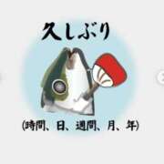 ヒメ日記 2025/04/11 16:57 投稿 多香子 モアグループ所沢人妻城