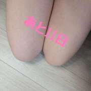 ヒメ日記 2025/02/17 12:04 投稿 ぼたん 夜這い茶屋 はなれ