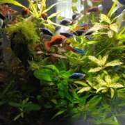 ヒメ日記 2025/03/04 17:52 投稿 アヤネ★しっとり魅せる美人妻 BITEKI