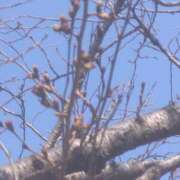 ヒメ日記 2025/03/22 14:24 投稿 アヤネ★しっとり魅せる美人妻 BITEKI