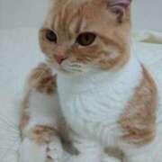 ヒメ日記 2025/05/18 14:00 投稿 アヤネ★しっとり魅せる美人妻 BITEKI