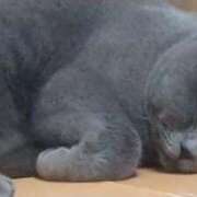 ヒメ日記 2025/05/25 15:06 投稿 アヤネ★しっとり魅せる美人妻 BITEKI