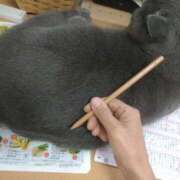 ヒメ日記 2025/05/27 20:58 投稿 アヤネ★しっとり魅せる美人妻 BITEKI