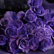 ヒメ日記 2025/06/06 18:14 投稿 アヤネ★しっとり魅せる美人妻 BITEKI