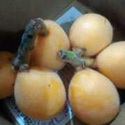 ヒメ日記 2025/06/11 11:25 投稿 アヤネ★しっとり魅せる美人妻 BITEKI