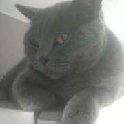 ヒメ日記 2025/09/27 11:01 投稿 アヤネ★しっとり魅せる美人妻 BITEKI