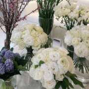 ヒメ日記 2025/03/05 13:48 投稿 りん 池袋しろパラ