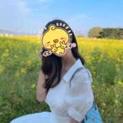 ヒメ日記 2025/05/03 15:26 投稿 りん 池袋しろパラ