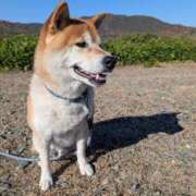 ヒメ日記 2025/12/03 19:16 投稿 安田ほのか MADAM