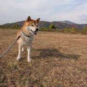 ヒメ日記 2025/12/04 18:16 投稿 安田ほのか MADAM