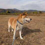 ヒメ日記 2025/12/04 18:31 投稿 安田ほのか MADAM