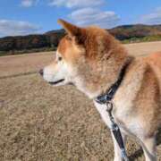 ヒメ日記 2025/12/04 21:01 投稿 安田ほのか MADAM