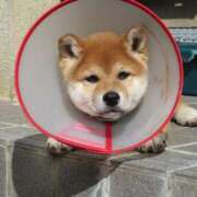 ヒメ日記 2025/12/05 21:01 投稿 安田ほのか MADAM