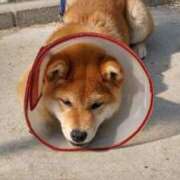 ヒメ日記 2025/12/07 20:16 投稿 安田ほのか MADAM