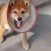 ヒメ日記 2025/12/07 23:31 投稿 安田ほのか MADAM