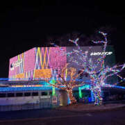 ヒメ日記 2025/03/13 10:33 投稿 つばき 横浜ハッピーマットパラダイス