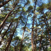 ヒメ日記 2025/08/22 09:13 投稿 つばき 横浜ハッピーマットパラダイス