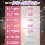 ヒメ日記 2025/10/16 17:03 投稿 つばき 横浜ハッピーマットパラダイス