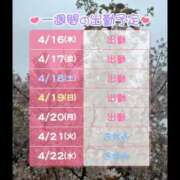 ヒメ日記 2026/04/16 17:33 投稿 つばき 横浜ハッピーマットパラダイス