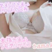 ヒメ日記 2025/03/14 09:13 投稿 たまき ○コキクリニック～○○クリニックシリーズ～