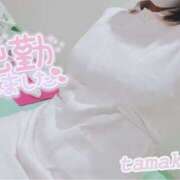 ヒメ日記 2025/03/18 08:55 投稿 たまき ○コキクリニック～○○クリニックシリーズ～