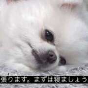 ヒメ日記 2025/06/01 15:17 投稿 たまき ○コキクリニック～○○クリニックシリーズ～