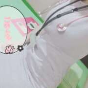 たまき 久しぶりの診察ですが元気です🩺🍀 ○コキクリニック～○○クリニックシリーズ～