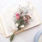 ヒメ日記 2026/02/22 08:50 投稿 たまき ○コキクリニック～○○クリニックシリーズ～