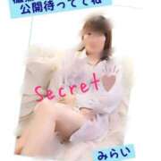 ヒメ日記 2025/02/28 18:14 投稿 みらい タレントCLUB