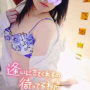 ヒメ日記 2025/11/05 08:32 投稿 みらい タレントCLUB