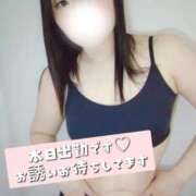 ヒメ日記 2026/04/11 08:31 投稿 みらい タレントCLUB