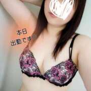 ヒメ日記 2026/07/29 08:31 投稿 みらい タレントCLUB